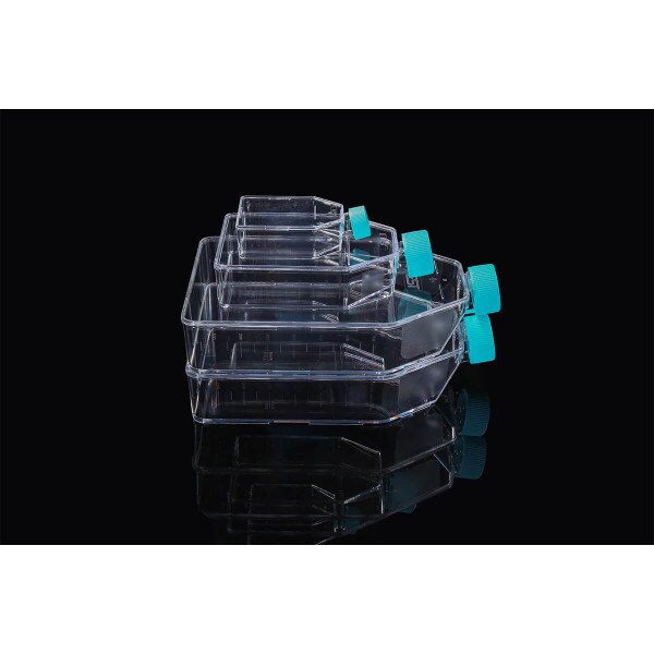 Sapphire Cell Culture Flask, group
